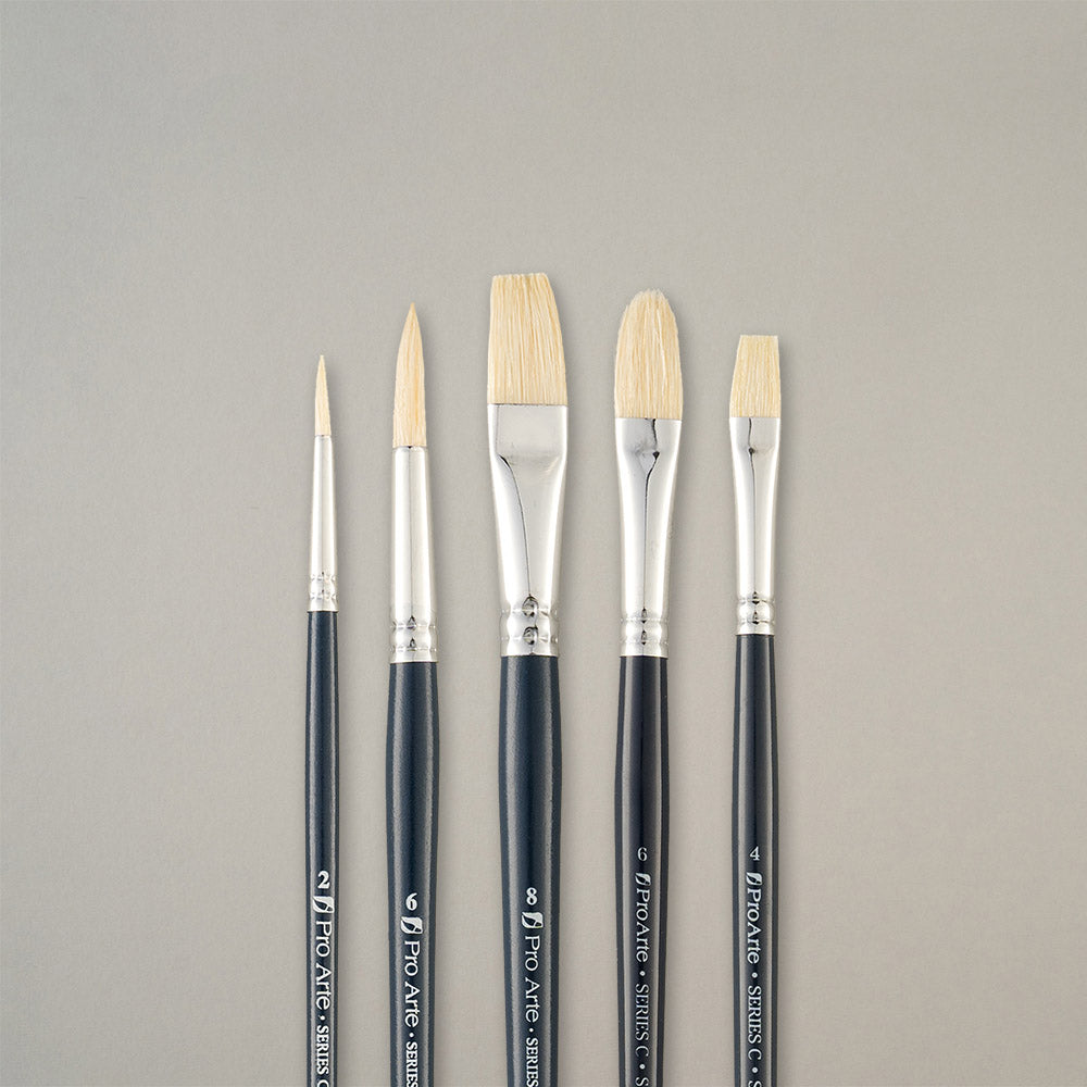 Pro Arte Back to College Student Hog Brush Set CWA