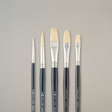 Pro Arte Back to College Student Hog Brush Set CWA