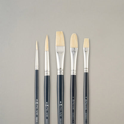 Pro Arte Back to College Student Hog Brush Set CWA