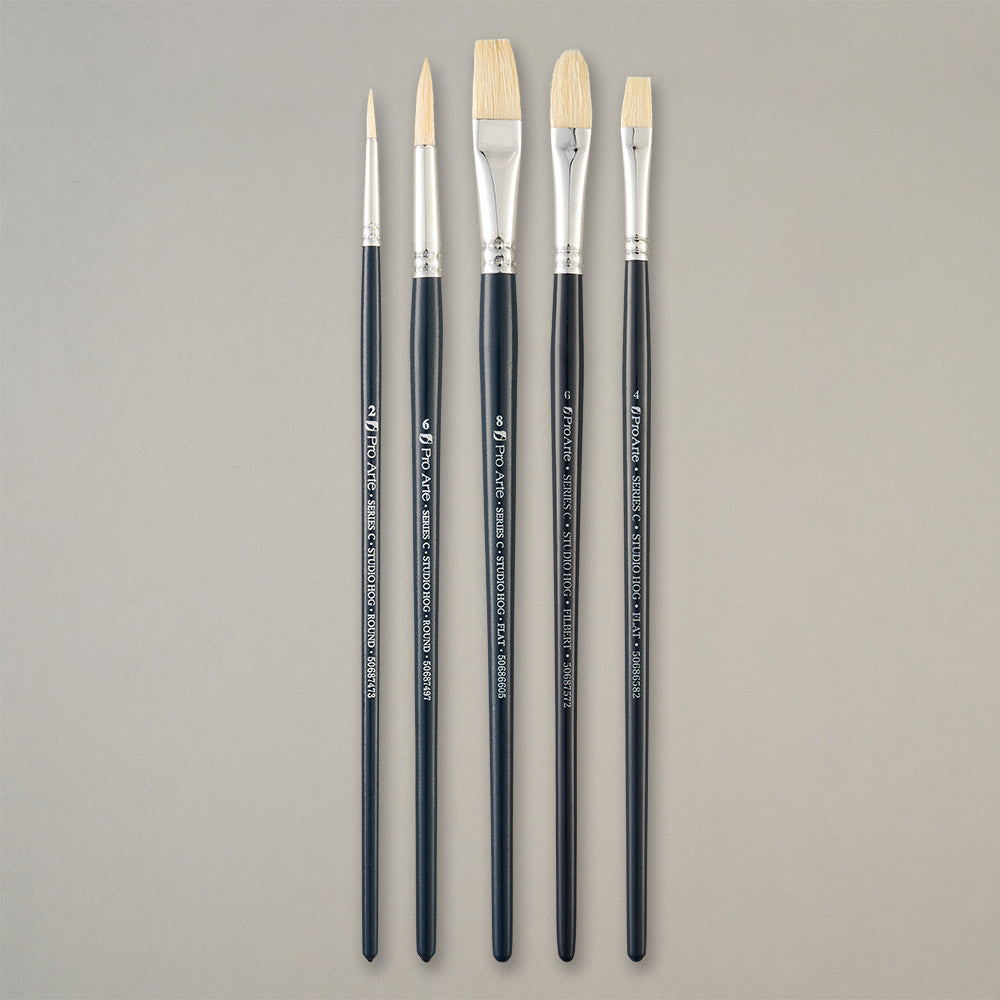 Pro Arte Back to College Student Hog Brush Set CWA