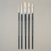 Pro Arte Back to College Student Hog Brush Set CWA