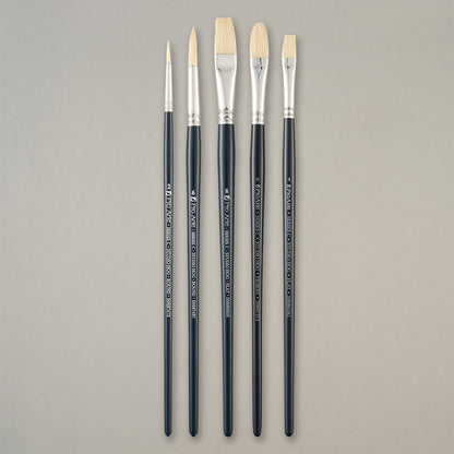 Pro Arte Back to College Student Hog Brush Set CWA