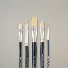 Pro Arte W11 Studio Hog Oil Brush Set in Wallet