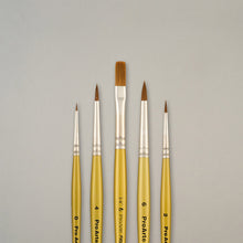 Pro Arte W4 Prolene Spotter Brush Set in Wallet