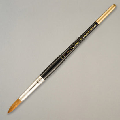 Pro Arte W5 Prolene Watercolour Brush Set in Wallet