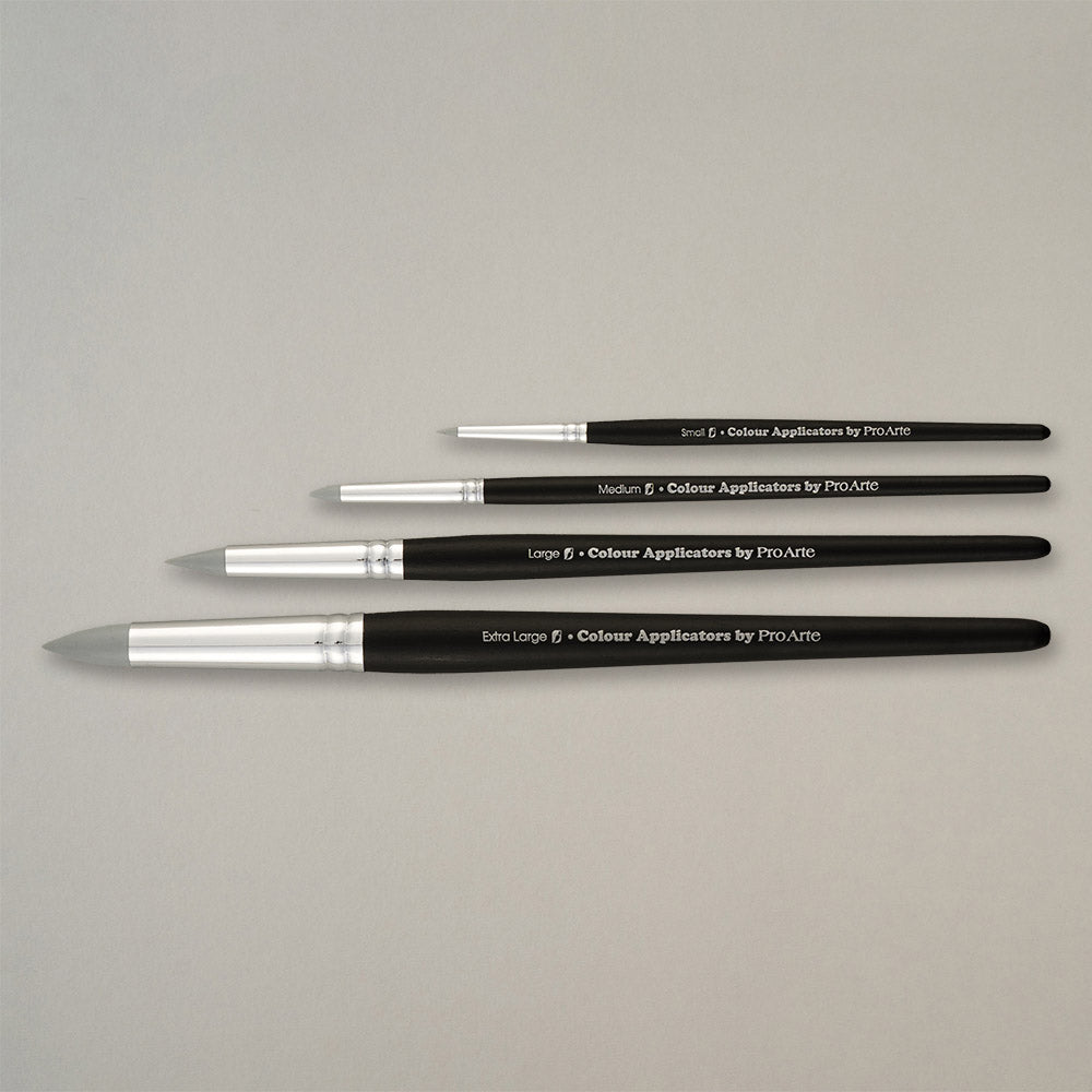Pro Arte Colour Applicator silicone tip shapes