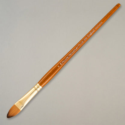 Pro Arte Prolene Plus Filbert Watercolour Brush