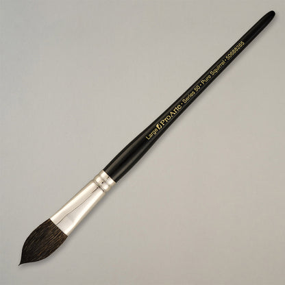 Pro Arte Pure Squirrel Wash Brush