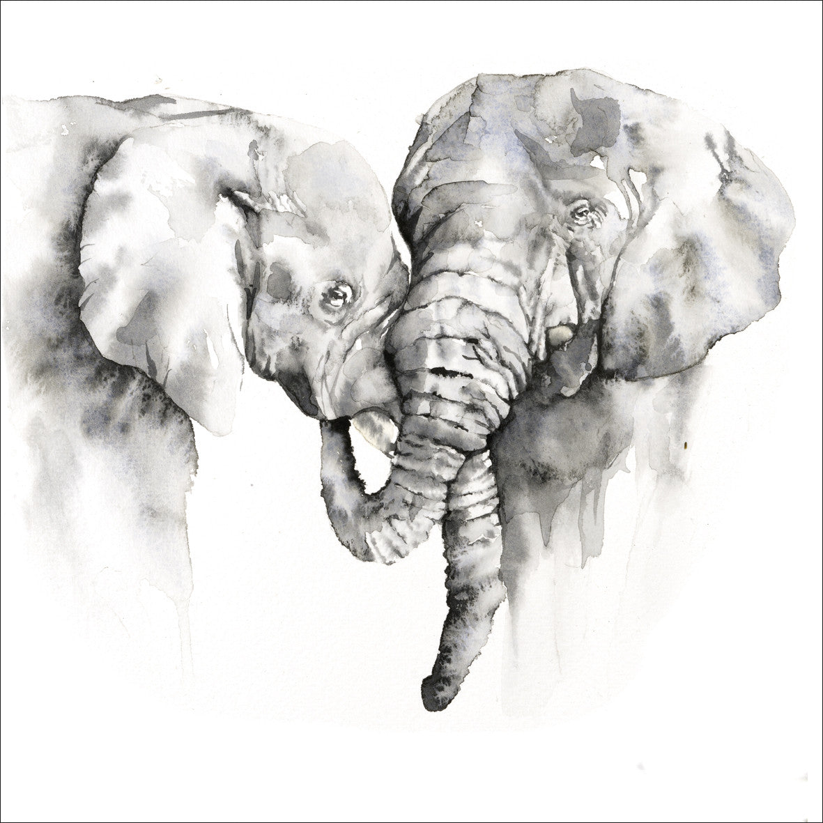 Elephants Card by Rachel Toll