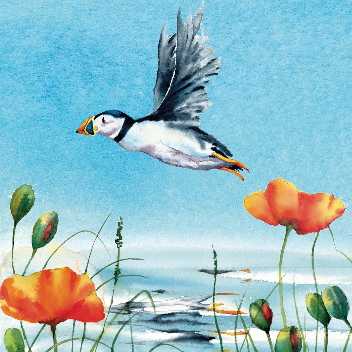 Poppies and Puffin Card by Rachel Toll