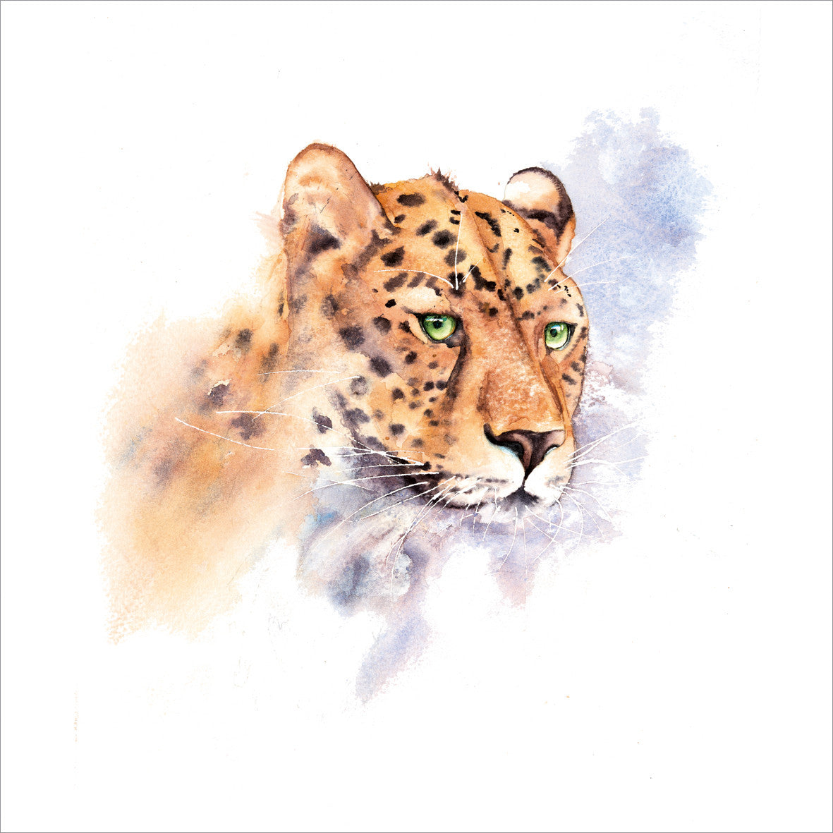 Cheetah Card by Rachel Toll