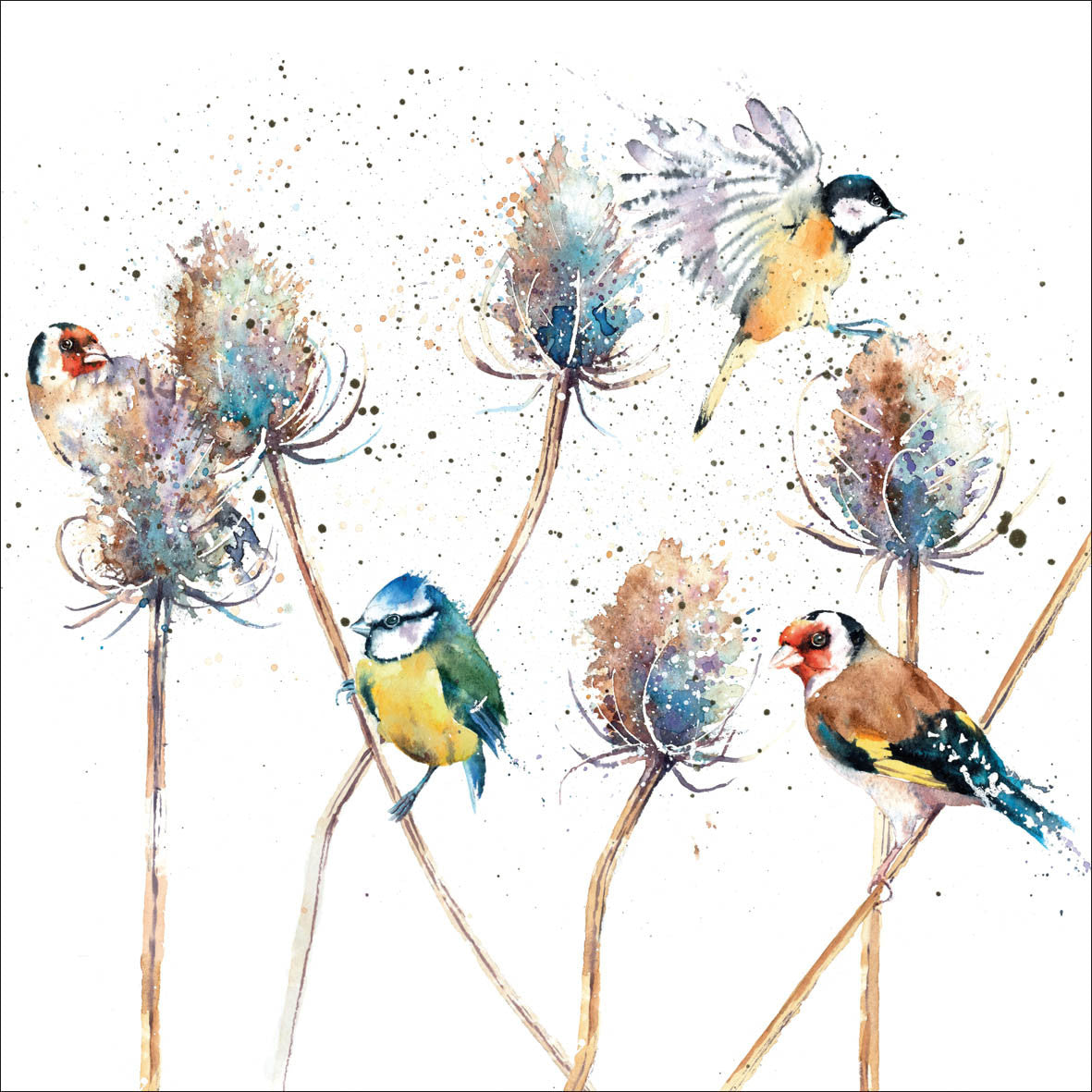 Birds and Teasels Card by Rachel Toll