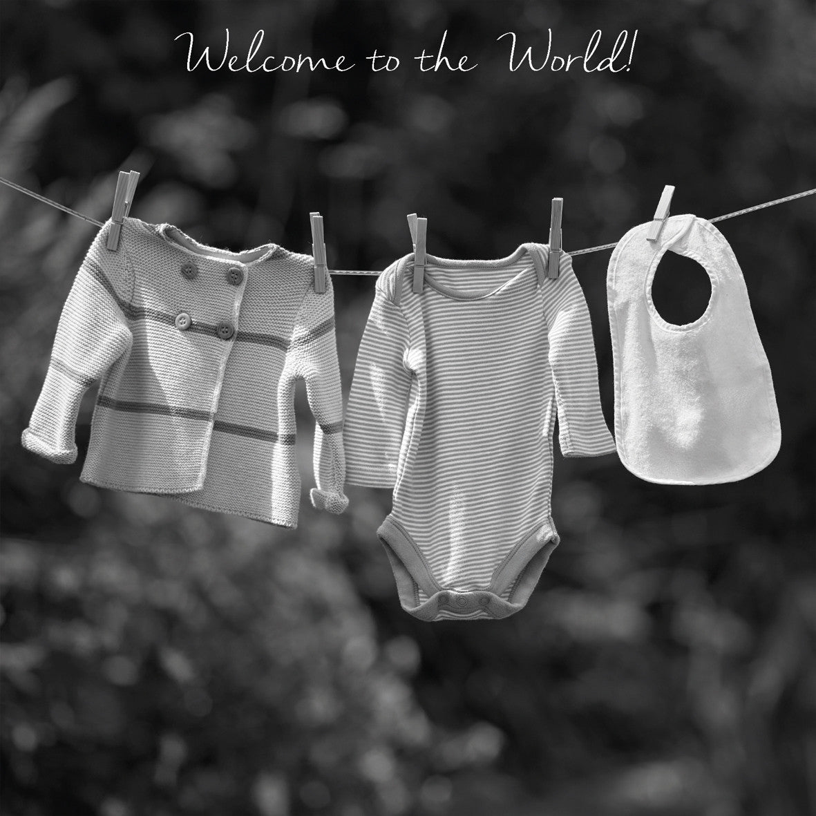 Welcome to the World! Photographic Card by Scott Morrish