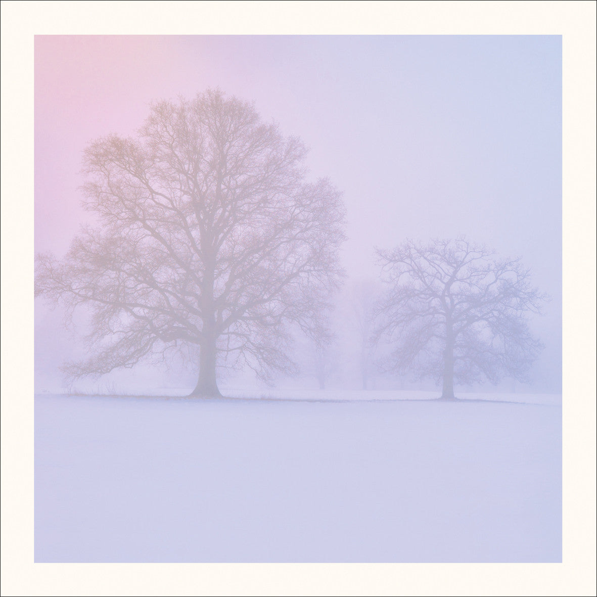 Snow and Sunrise Photographic Card by Scott Morrish