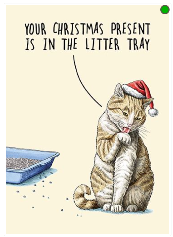 Christmas Card - Christmas Present in the Litter Tray