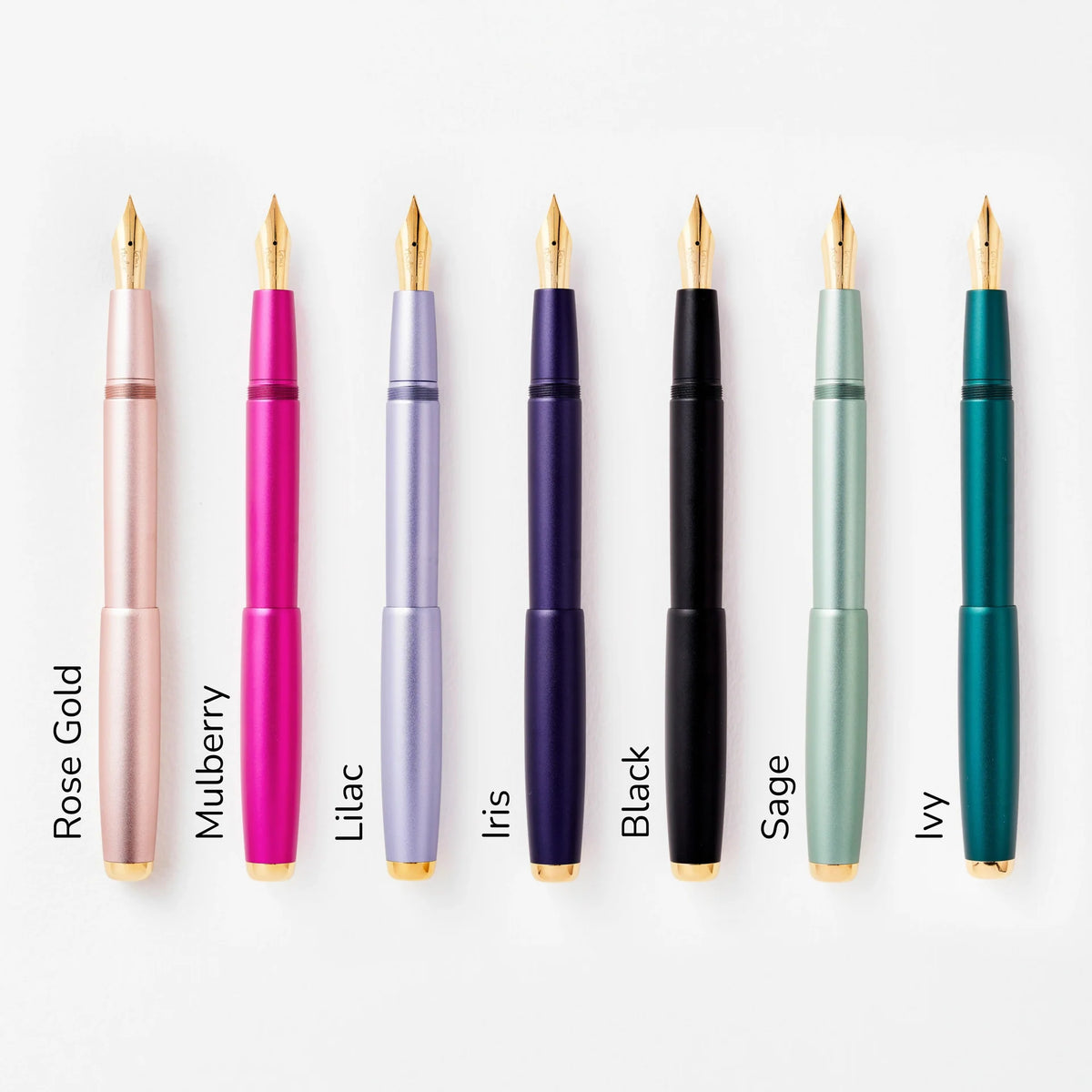 Studio Fountain Pen | Iris - Titanium Flex
