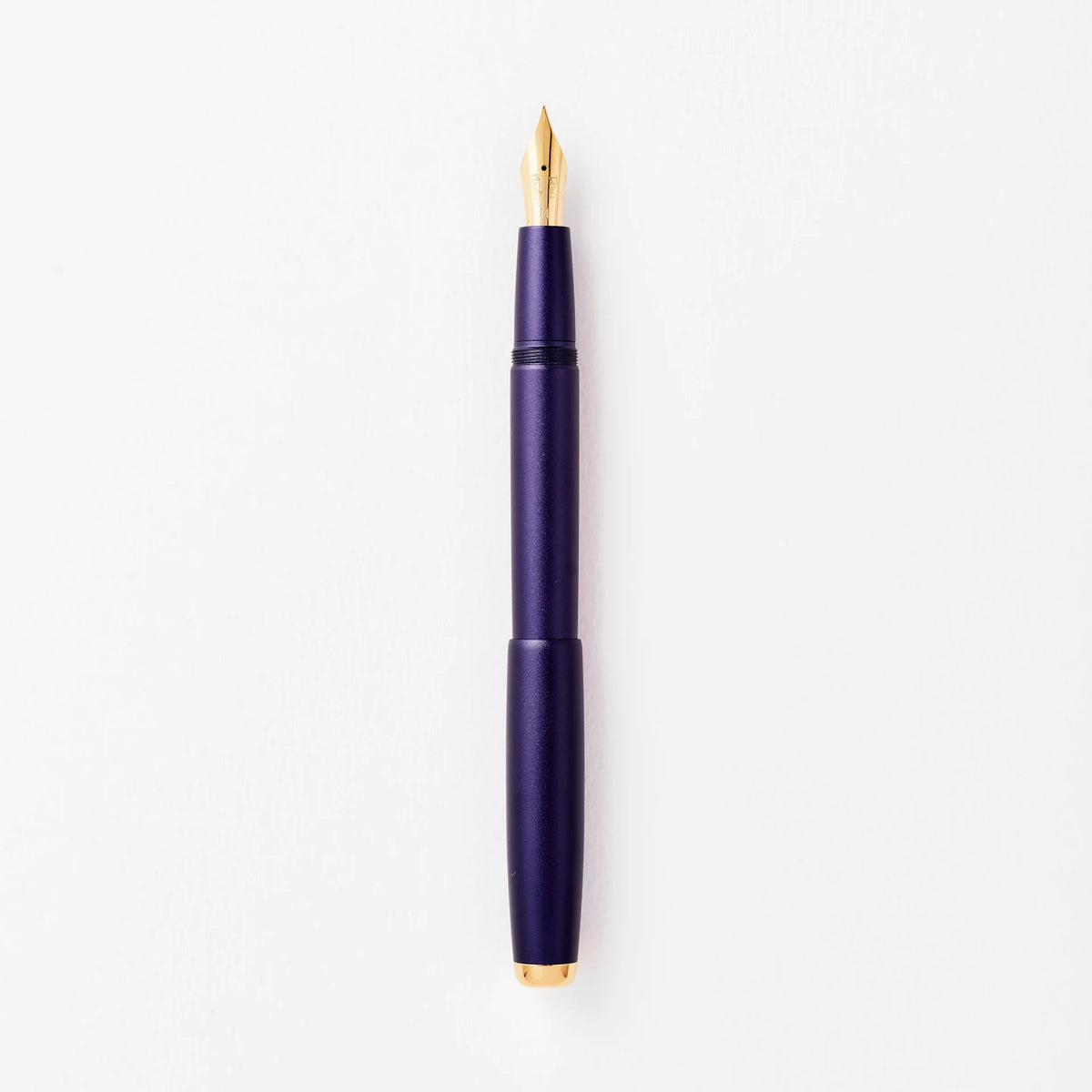 Studio Fountain Pen | Iris - Titanium Flex