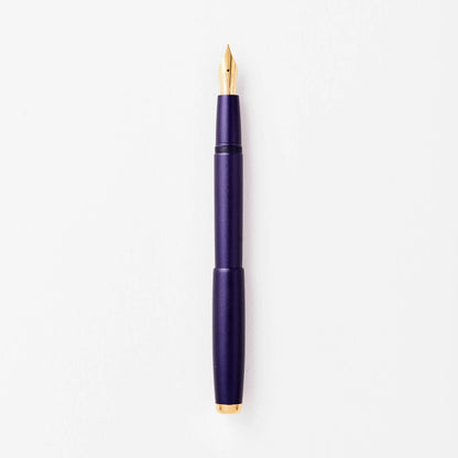 Studio Fountain Pen | Iris - Titanium Flex