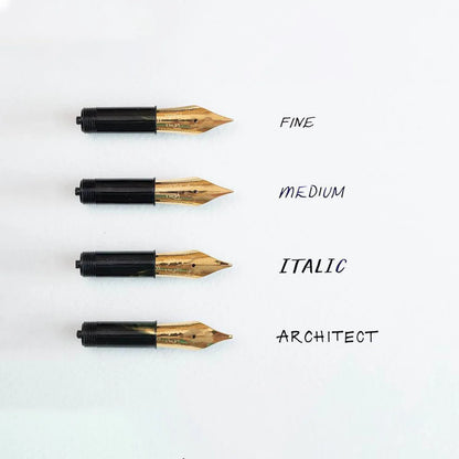 Studio Fountain Pen | Iris - Titanium Flex