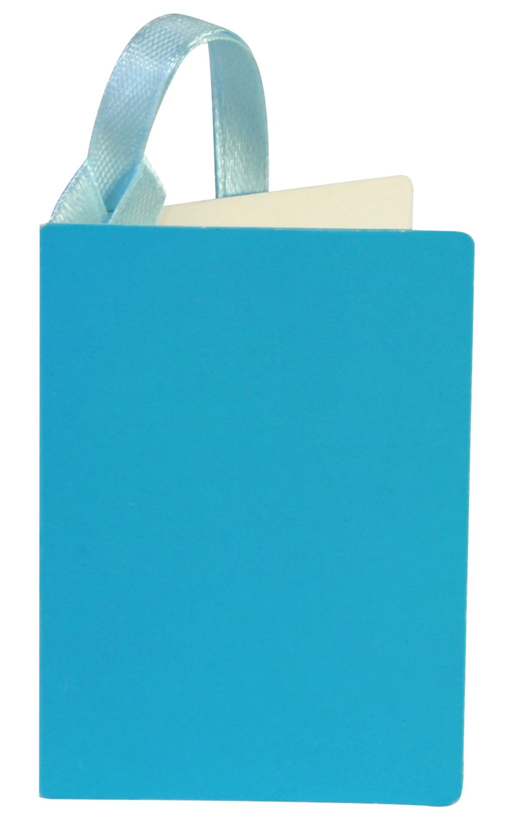 Aqua Gift Tag