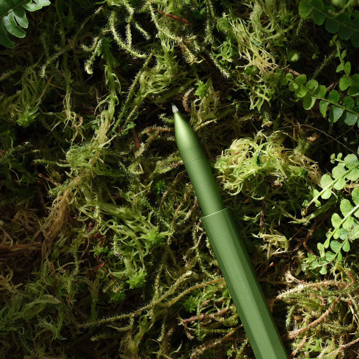 The Wren – Refillable Writing Pen | Botanica Special Edition