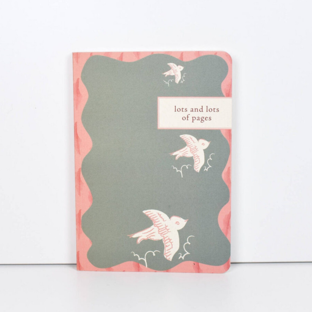 VENT ENVIRO A5 Lined Notebook – Flight Birds