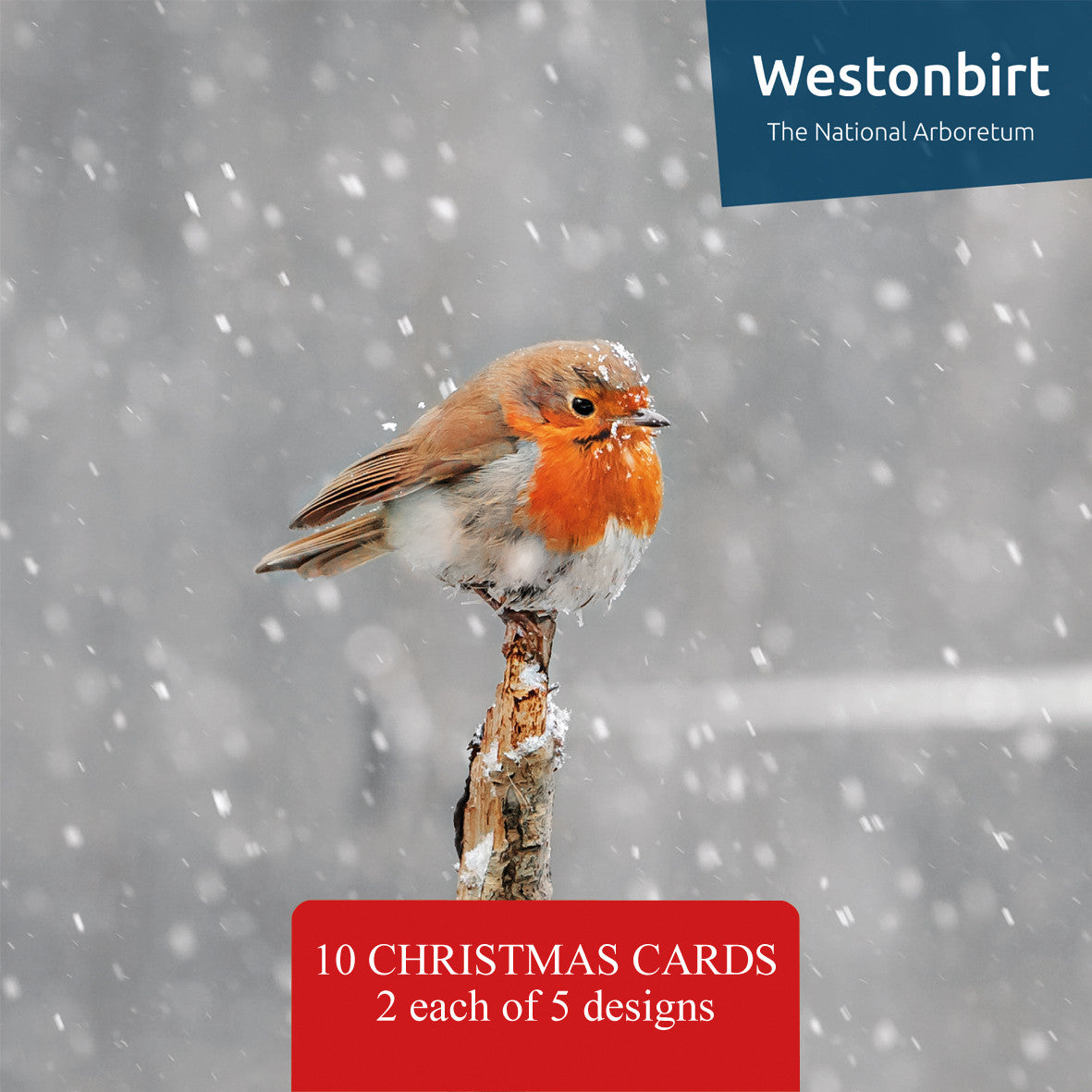 Westonbirt Mixed Christmas Card Pack of 10