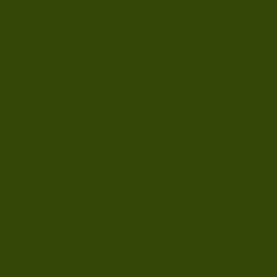 Designers Gouache 14ml - Olive Green | 0605447