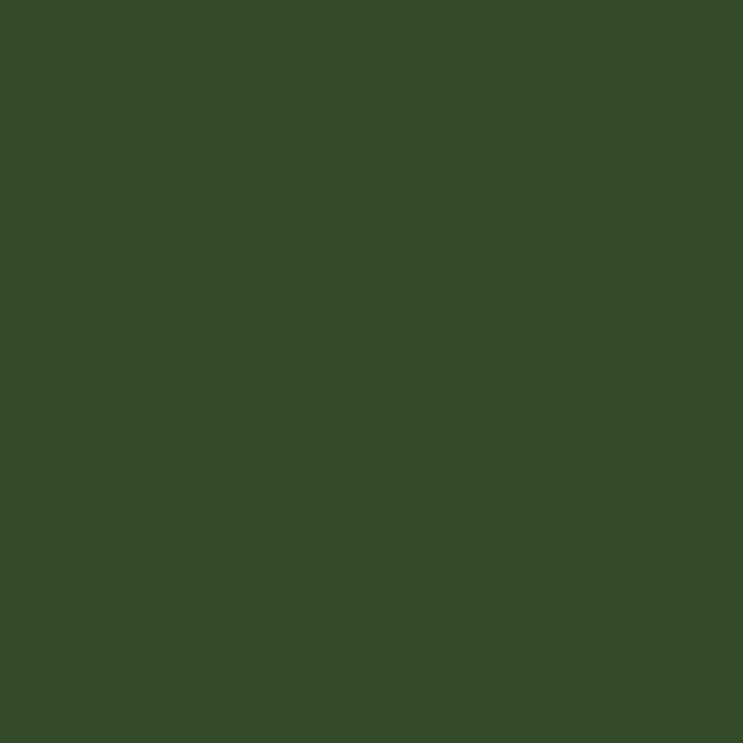 Designers Gouache 14ml - Oxide Of Chromium | 0605459