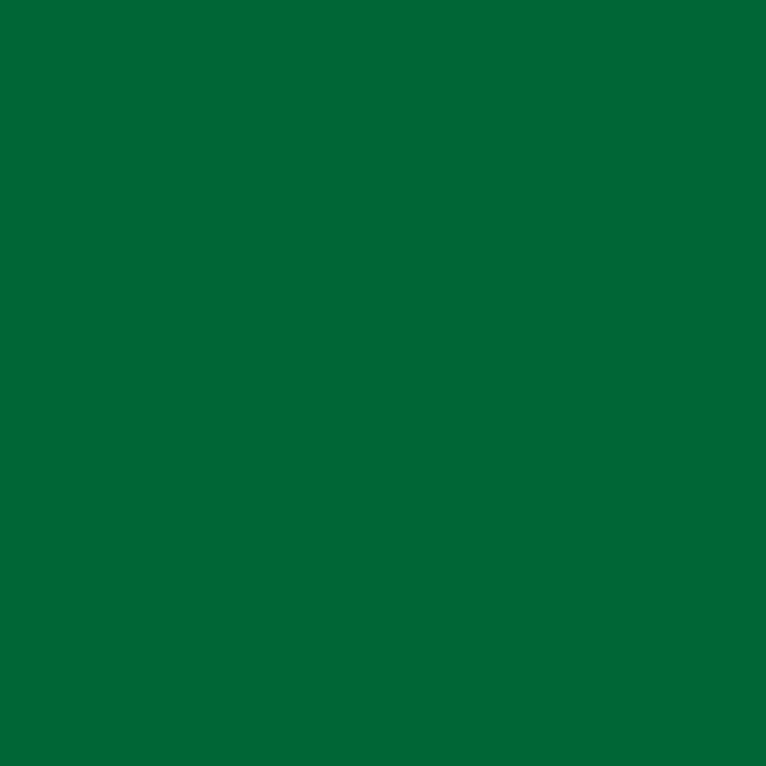 Designers Gouache 14ml - Permanent Green Light | 0605483