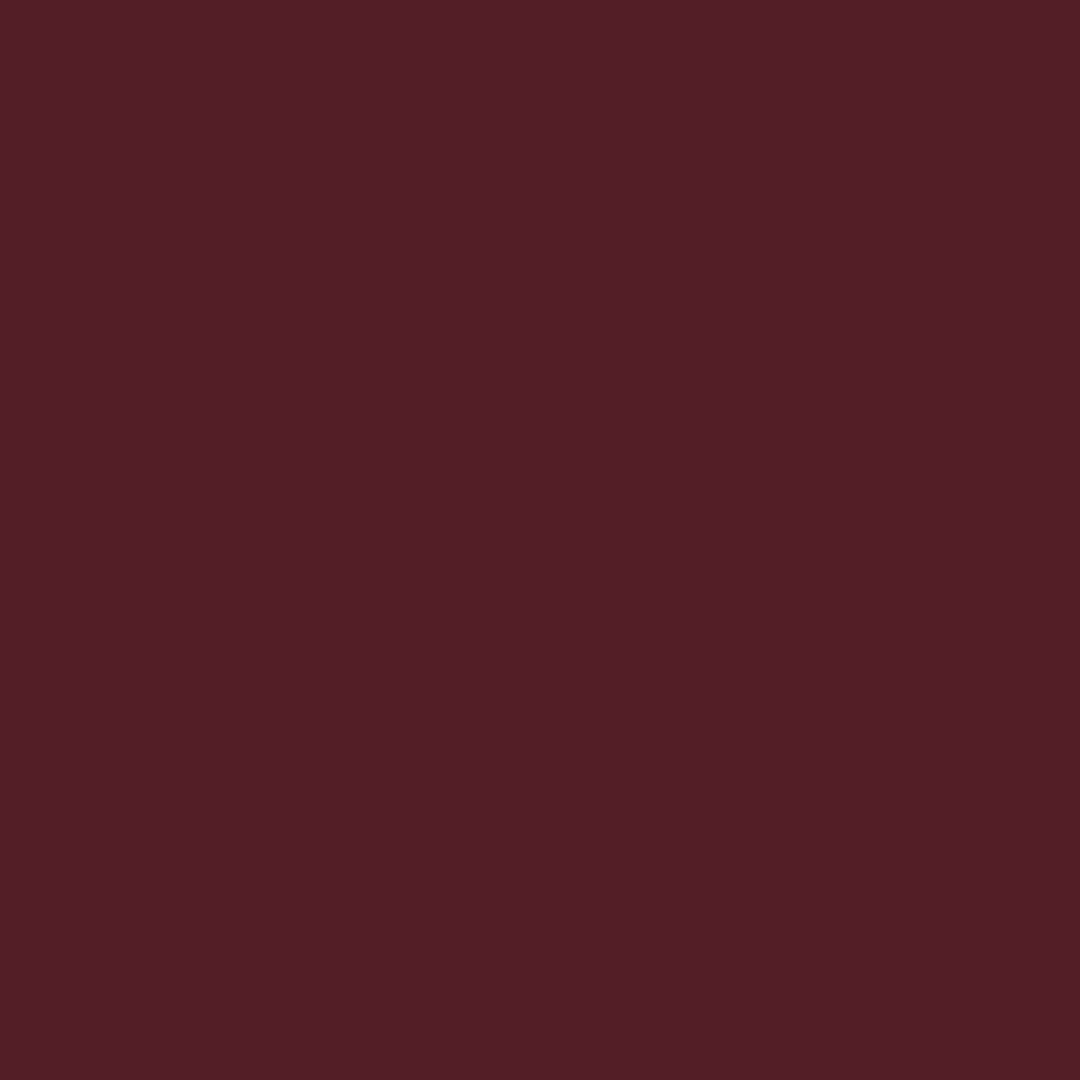 Designers Gouache 14ml - Perylene Violet | 0605470
