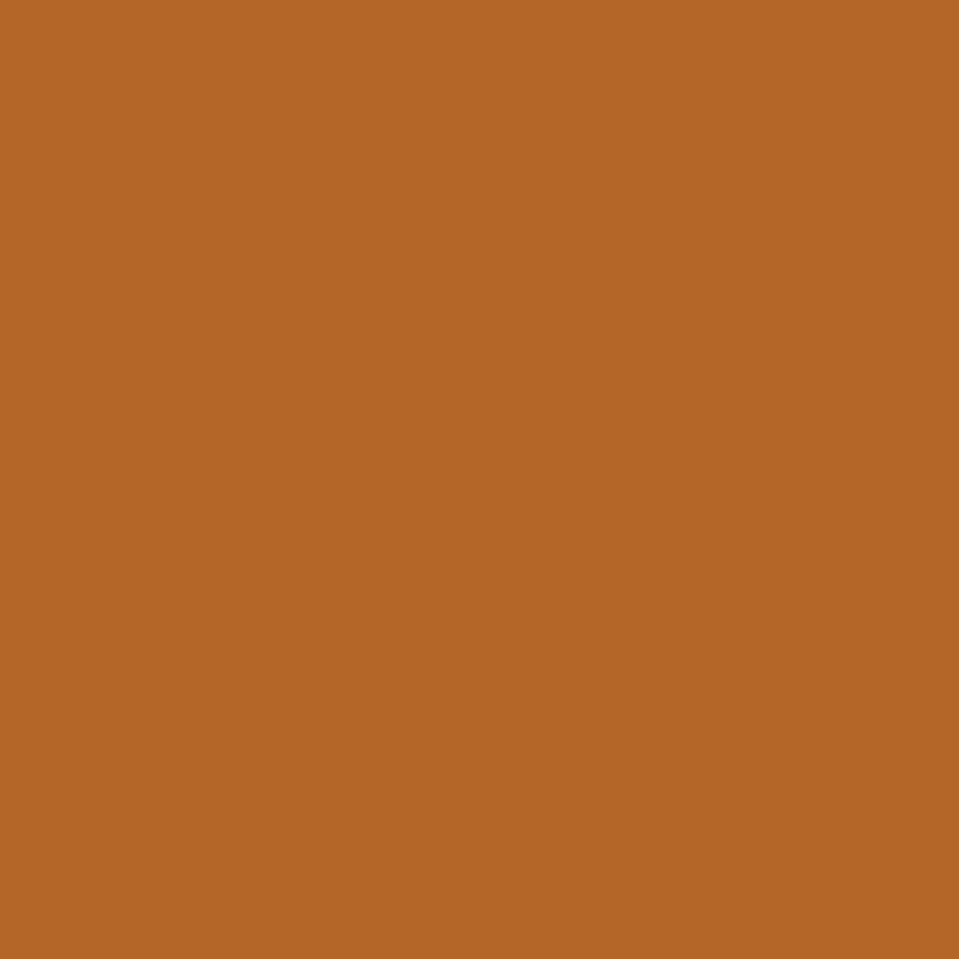 Designers Gouache 14ml - Raw Sienna | 0605552