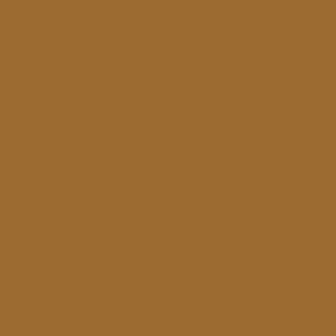 Designers Gouache 14ml - Raw Umber | 8840587