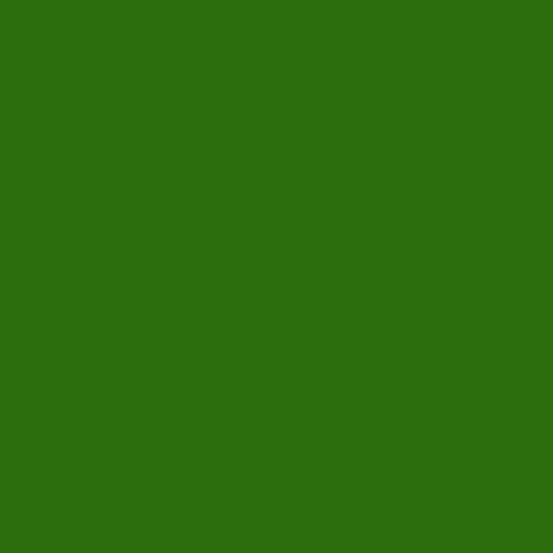 Designers Gouache 14ml - Sap Green | 0605599