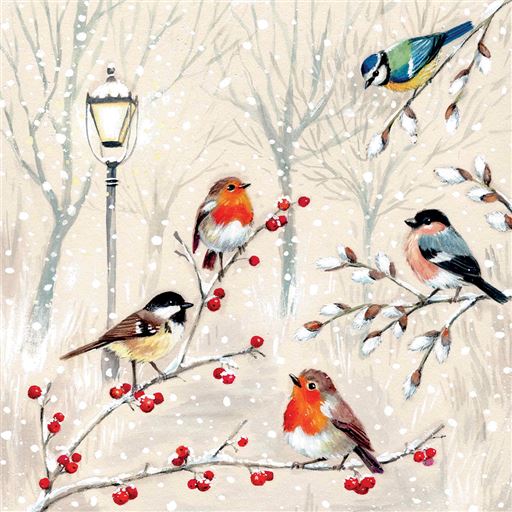 British Birds Charity Christmas Card 6 Pack