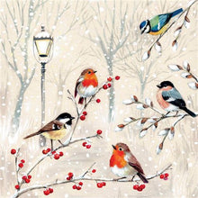 British Birds Charity Christmas Card 6 Pack