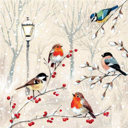 British Birds Charity Christmas Card 6 Pack