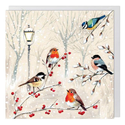 British Birds Charity Christmas Card 6 Pack
