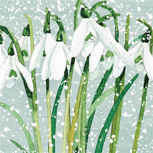 Snowdrops Charity Christmas Card 6 Pack