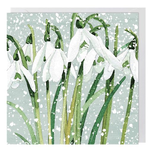 Snowdrops Charity Christmas Card 6 Pack