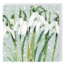 Snowdrops Charity Christmas Card 6 Pack