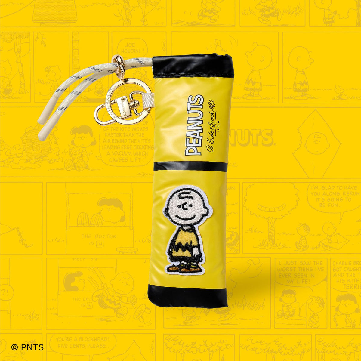 Peanuts pen case