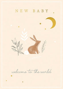 New Baby Welcome to the World Card