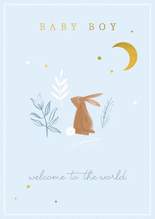 Baby Boy Welcome to the World Card
