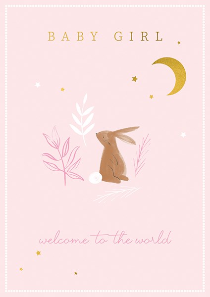 Baby Girl Welcome to the World Card