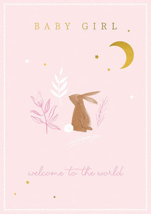 Baby Girl Welcome to the World Card