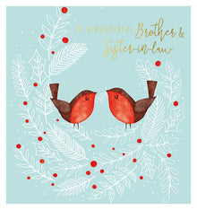 Brother & Sister in Law Robins Christmas Card