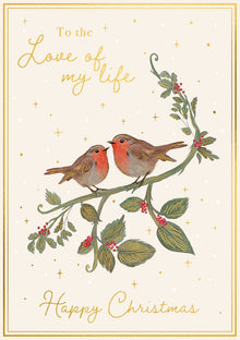 Robins Love of my Life Christmas Card