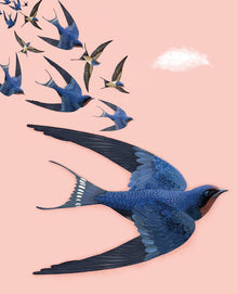 Swallows Agnes Card