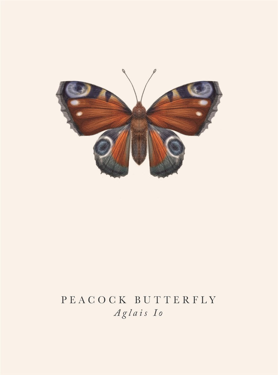 Peacock Butterfly Book & Botanics Card